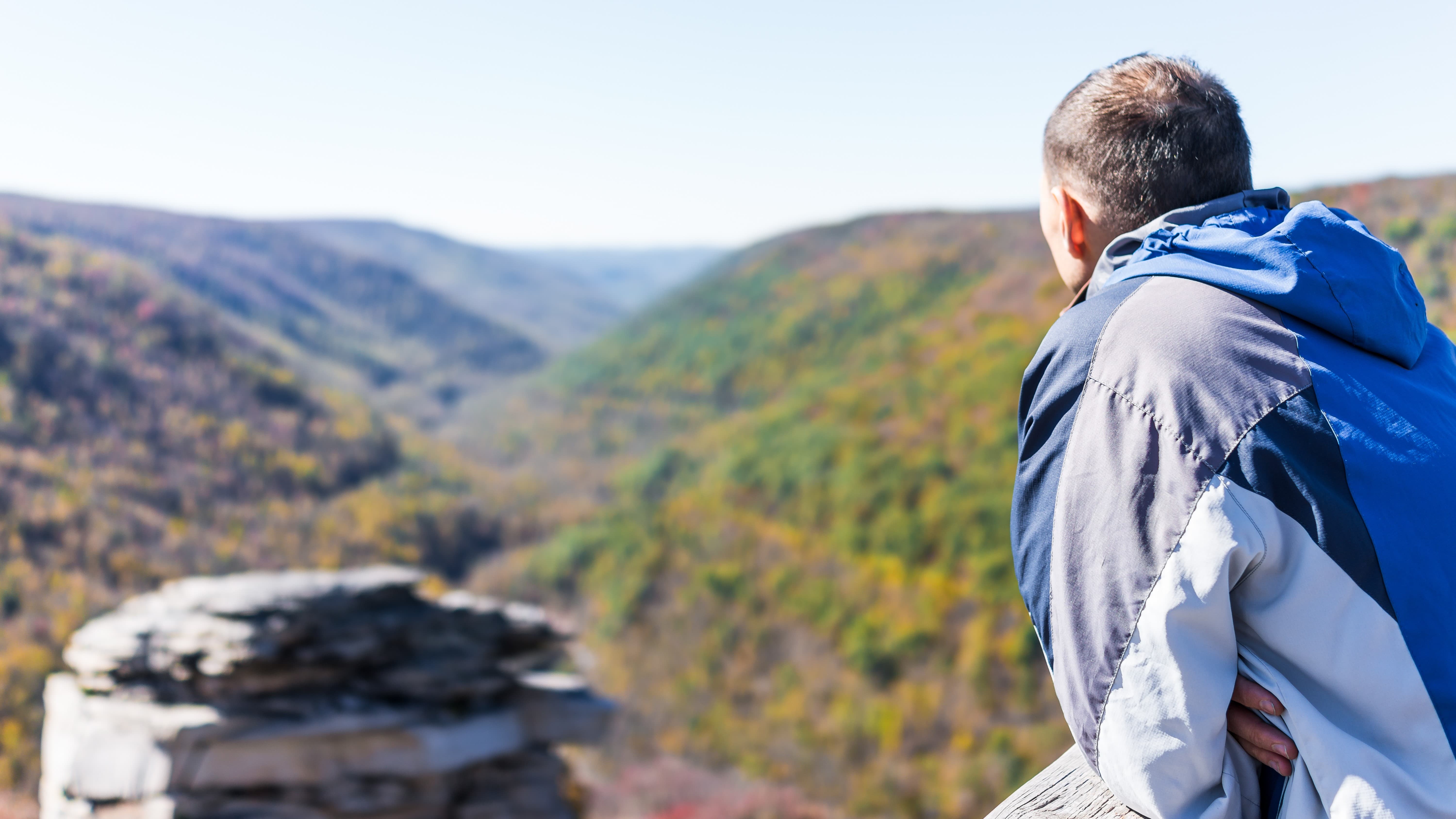 Observando sobre el bosque